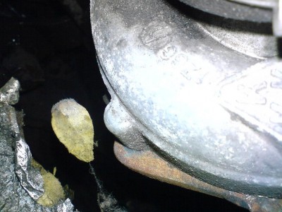 DSC00079.JPG (85.72 KiB) Przejrzano 10299 razy DSC00079.JPG